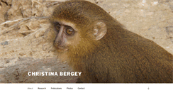 Desktop Screenshot of christinabergey.com