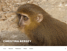 Tablet Screenshot of christinabergey.com